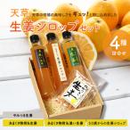 天草 生姜シロップセット_S024-008A
