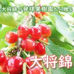 ふるさと納税 上山市 さくらんぼ(大将錦)220g×4パック ご家庭用 0075-2503