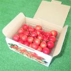 fu.... налог сверху гора город вишня ( Sato ... превосходящий .)500g 2L размер 0032-2601