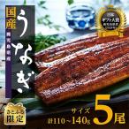 ふるさと納税 大崎町 【さとふる限定】鹿児島県産うなぎ長蒲焼5尾(110g〜140g/尾)合計600g