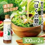 ふるさと納税 碧南市 新玉ねぎ白しょうゆソース「はくの碧」(300ml×2本)　化学調味料不使用　H105-087