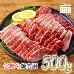 ふるさと納税 高原町 厳選 宮崎牛焼肉用500g 　TF556