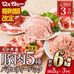 ふるさと納税 佐伯市 <定期便・全3回 (連続)>豚肉 バラエティーパック (総量6kg・5種)