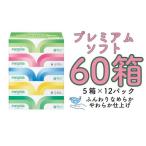 ふるさと納税 春日井市 ネピアプレミアムソフトティシュ5箱×12パック