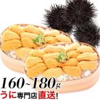 ふるさと納税 根室市 ムラサキウニ80g〜90g×2P[5月中旬以降発送] A-06001