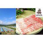 ふるさと納税 蔵王町 JAPAN X 豚バラ2mmスライス/計2kg 【04301-0046】