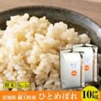 ふるさと納税 蔵王町 �