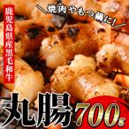 ふるさと納税 いちき串木野市 もつ鍋や焼肉に!鹿児島県産黒毛和牛ホルモン(丸腸)約700g