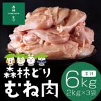 ショッピングkg ふるさと納税 霧島市 <2024年6月発送分>森林どり むね肉(2kg×3袋・計6kg)【ウェルファムフーズ】A0-272