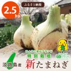 ふるさと納税 南あわじ市 【あさひサンファーム】【2.5kg】兵庫県認証★特別栽培★淡路島新たまねぎ(配送3月上旬〜)