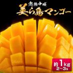 ふるさと納税 中城村 【2025年夏季出荷 先行受付開始!】 完熟中城美ら島マンゴー(優品) 約1kg