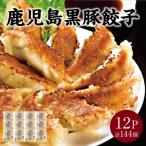 ショッピング餃子 ふるさと納税 南九州市 鹿児島黒豚餃子12P(計144個)