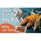 ふるさと納税 山口市 活きあいおえび900g(20〜36尾) C040