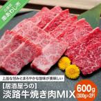 ふるさと納税 南あわじ市 【居酒屋うの】淡路牛焼き肉MIX600g(300g×2P)冷凍