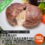 ふるさと納税 南あわじ市 やみつき玉ねぎの淡路牛100%チーズINハンバーグ150g×10個(冷凍)