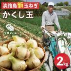 ふるさと納税 淡路市 【新たまねぎ】今井ファームの淡路島たまねぎ「かくし玉」 2kg【発送時期4月下旬〜5月頃】