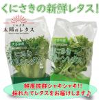 fu.... налог страна восток город .. длина хруст!!.... солнце. lettuce 12 пакет ..._1183R