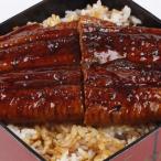 ふるさと納税 薩摩川内市 【訳あり】 鹿児島県産うなぎ蒲焼(有頭)×2尾(280g) 冷蔵 AS-310