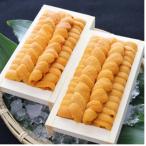 ふるさと納税 根室市 エゾバフンウニ90〜100g×2折[2026年3月上旬以降発送] C-71004