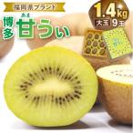 fu.... налог . изображение город [ подарок ] киви фрукты [ Hakata ...] примерно 1.4kg несессер ввод [.... .]_HA0943