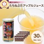 ふるさと納税 五所川原市 【2026年1月中旬以降発送】たちねぷたアップルジュース果汁100% 缶 りんごジュース ねぶた