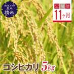 コシヒカリ精米5kg