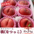 ふるさと納税 三条市 先行受付 桃(なつっこ) 3kg 令和8年度 新潟県産 桃 [さとうファーム]【014S009】