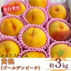 ふるさと納税 三条市 先行受付 黄桃 (ゴールデンピーチ) 3kg 令和8年度 新潟県産 【014S010】