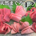 ふるさと納税 三浦市 【1.2kg】天然三崎まぐろ中トロ・赤身　柵小切れ