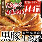 ショッピング餃子 ふるさと納税 いちき串木野市 鹿児島黒豚生餃子2種食べ比べセット　計144個　