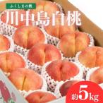 ふるさと納税 福島市 福島のもも 川中島白桃 約5kg【2025年発送】No.2154