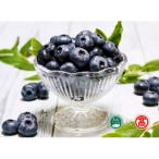 fu.... налог . префектура блок &lt; внутри большой гора голубика ферма &gt; рефрижератор голубика ( большой гора бренд .) 19-BI4 0380