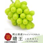 ショッピングふるさと納税 シャインマスカット ふるさと納税 瀬戸内市 【2026年先行受付】シャインマスカット晴王 1房800g前後 岡山県産[No.5735-1229]