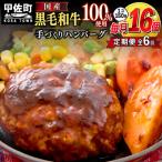 ふるさと納税 甲佐町 【毎月お届け】黒毛和牛 ハンバーグ 150g×16個(定期便6ヶ月コース)