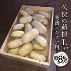 fu.... налог Tokushima город лотос корень бизнес * доля для [L размер ] примерно 8kg входить [BR006]