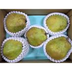 ふるさと納税 上山市 西洋梨(ラ・フランス) 3kg 大玉 ご家庭用 0017-2517