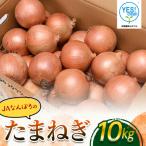 ふるさと納税 南幌町 《11月下旬発送開始》なんぽろたまねぎ 10kg JAなんぽろ