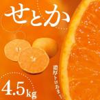 ふるさと納税 紀宝町 家庭用 たにぐち農園のせとか 4.5kg 大小混合【2025年3月〜4月上旬発送】【mtn012B】