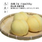ふるさと納税 赤磐市 桃 白桃 冬美白 とうびはく 3玉 1玉約350g もも 2026年[NO5765-0831]