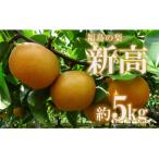 ふるさと納税 福島市 福島の梨 新高 約5kg【2025年発送分】No.2190