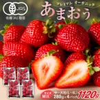 ふるさと納税 宗像市 オーガニックあまおう 「いせいちご」 おまかせ4パック(MIX)【伊世いちご畑】_HA1018