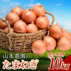 ふるさと納税 南幌町 北海道産 南幌町産 山本農園のたまねぎ L大サイズ 10kg 玉ねぎ タマネギ 玉葱