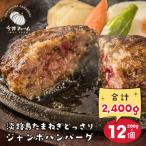 ショッピングハンバーグ ふるさと納税 淡路市 淡路島たまねぎどっさりジャンボハンバーグ 200g×12個