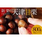 ふるさと納税 碧南市 【ポストにお届け】やさしい甘みたっぷりの「天津甘栗」800g!　H045-033