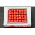 ふるさと納税 上山市 さくらんぼ(佐藤錦か紅秀峰)500g　手詰め　0020-2608