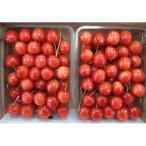 fu.... налог сверху гора город вишня ( Sato .)1kg(500g×2 упаковка ) несессер входить 0056-2604