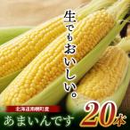 ショッピングとうもろこし ふるさと納税 南幌町 北海道産 とうもろこし あまいんです 20本 令和6年配送 朝採れ 一番果