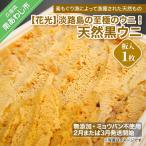 ふるさと納税 南あわじ市 先行受付【花光】淡路島の至極ウニ!天然黒ウニ(板入1枚)【無添加・ミョウバン不使用・期間/数量限定】