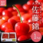ふるさと納税 河北町 【令和7年産】さくらんぼ「佐藤錦」秀L以上1kgバラ詰 (500g×2パック)【JAさがえ西村山】