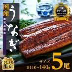 ふるさと納税 大崎町 【さとふる限定】鹿児島県産うなぎ長蒲焼5尾(110g〜140g/尾)